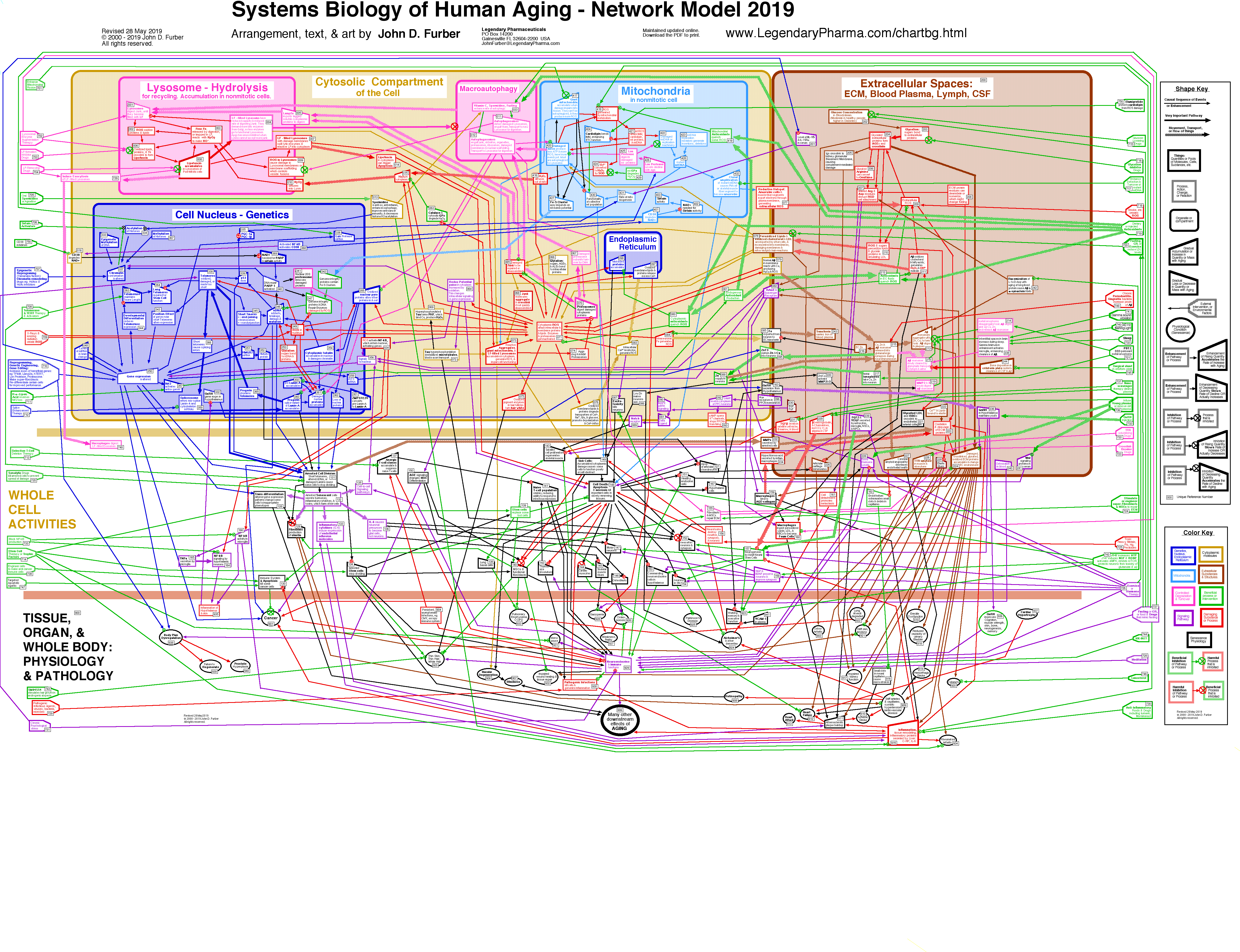 Large Network Diagram. PNG File. If your iPhone or iPad is unable to display the PNG, then go down the page and load the PDF file furberchart.pdf