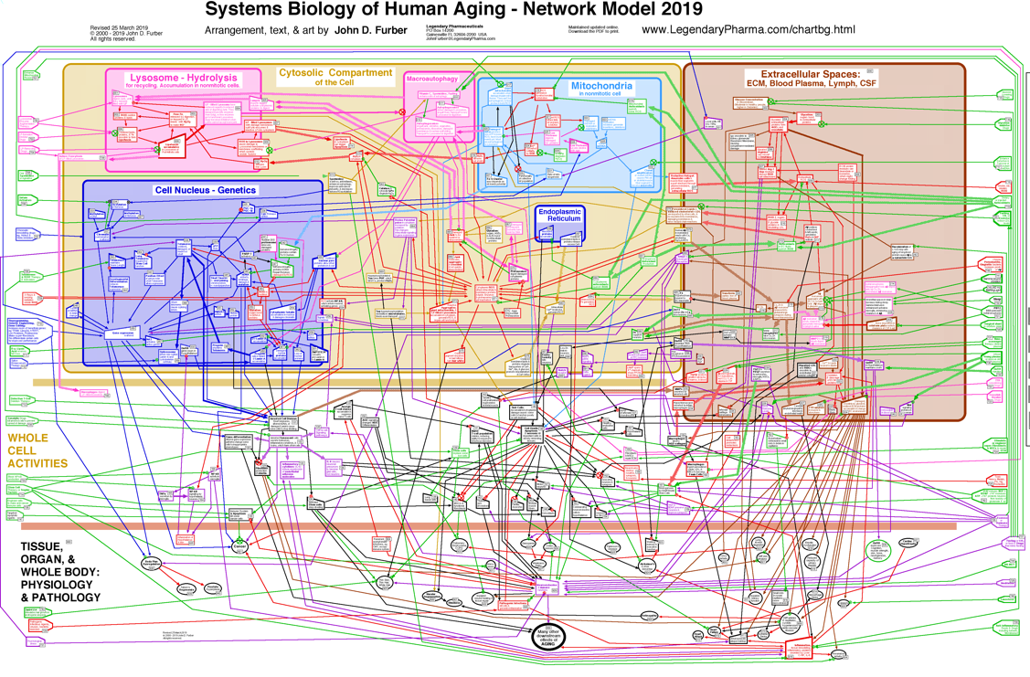 Small Network Diagram. PNG File.