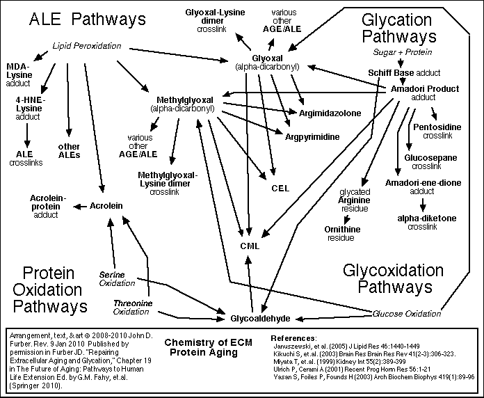 EC AGE-ALE Pathways